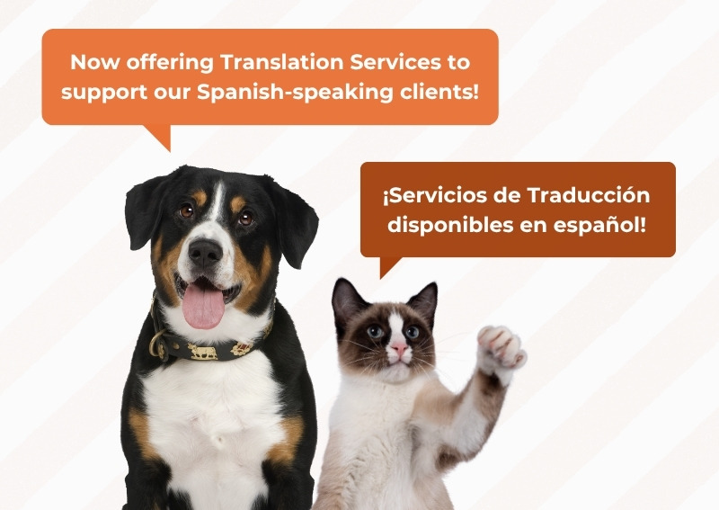 veterinary translation services available